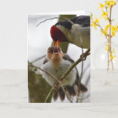 未成年者によって黄色勘定書を出される（鳥）ショウジョウコウカンチョウを食べ物を与えている大人 カード (黄色い花)