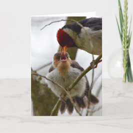 未成年者によって黄色勘定書を出される（鳥）ショウジョウコウカンチョウを食べ物を与えている大人 カード