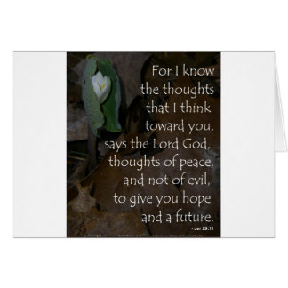 未来のジェレミアの29:11の希望