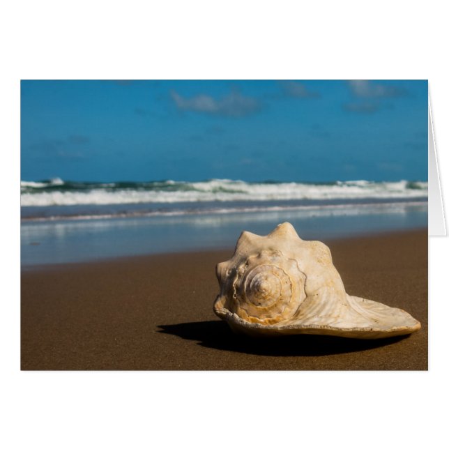 未来のビーチ (正面横)