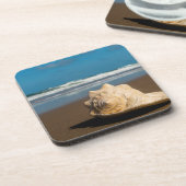 未来のビーチ コースター (左側)