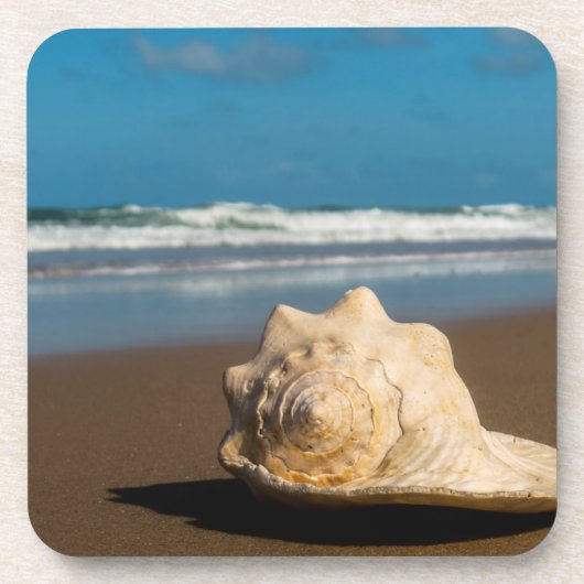 未来のビーチ コースター (正面)