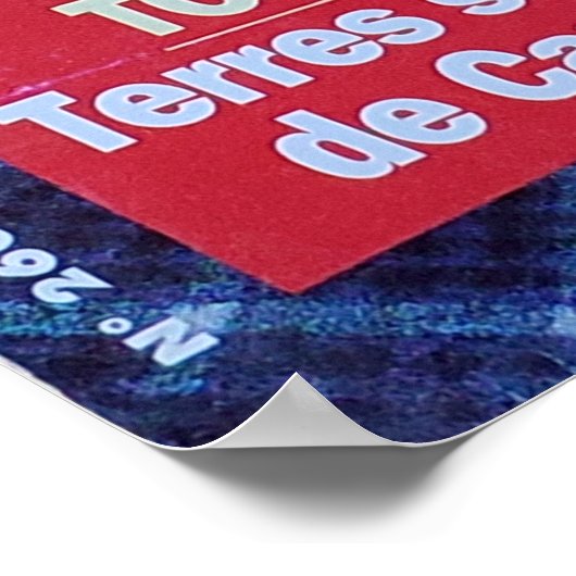 未来の王。 ポスター (角)