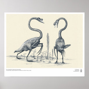 未来のPalaeontologistsによって想像される白鳥 ポスター