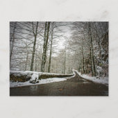 未来への道 – はがき (正面)