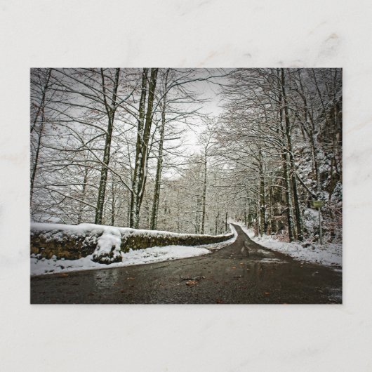 未来への道 – はがき (正面)