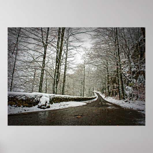 未来への道 – ポスター (正面)