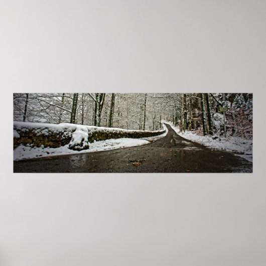 未来への道 – ポスター36x12 ポスター (正面)