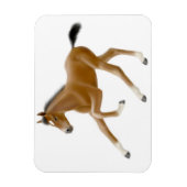 未来チャンピオンベイFoalプレミアムマグネット マグネット (縦)