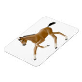 未来チャンピオンベイFoalプレミアムマグネット マグネット (左側)