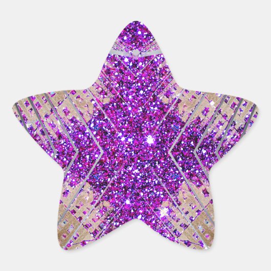 未来的きらめくなスターのステッカー収集品 星シール (正面)