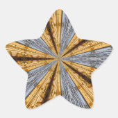 未来的初期の 星シール (正面)