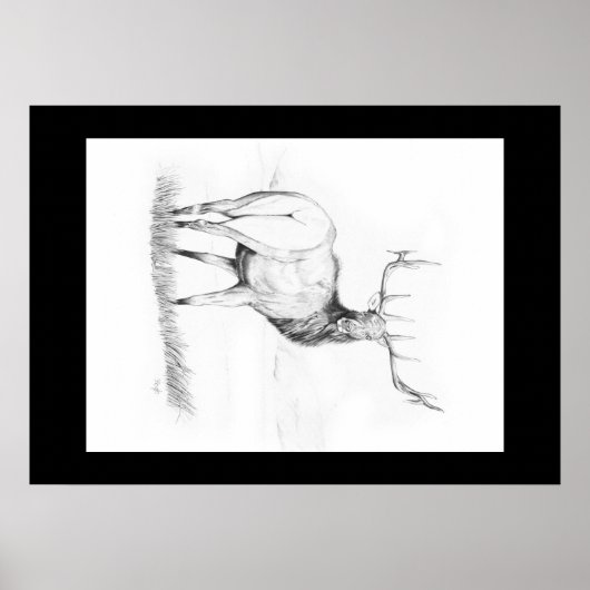 未決定の～エルクポスター ポスター (正面)