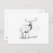 未決定 ポストカード (正面/裏面)