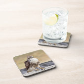 未熟なアカオタカのポートレート コースター (右側)