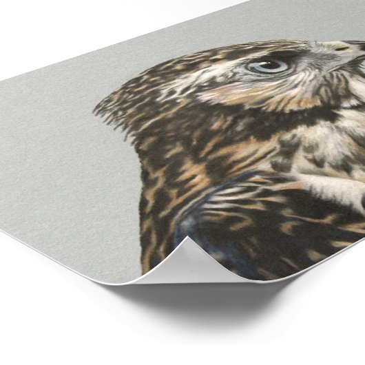 未熟なゴショク ポスター (角)