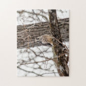 未熟なペレグリン《鳥》ハヤブサ ジグソーパズル (縦)