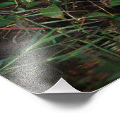 未熟なリトルブルーヘロン フォトプリント (角)