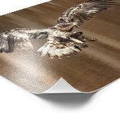 未熟なワシは泥だらけの足 フォトプリント            (角)