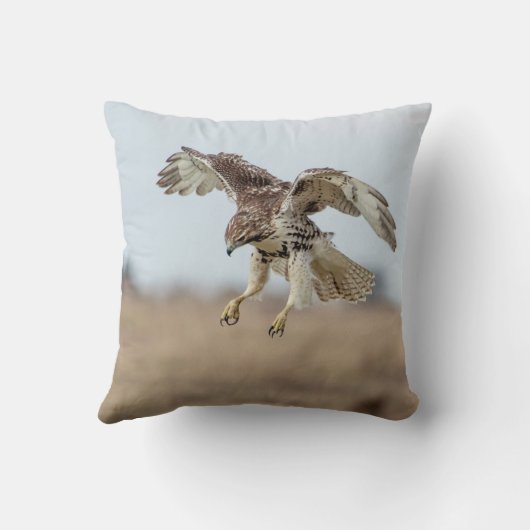 未熟な赤によって後につかれるタカの浮かぶこと クッション (裏面)