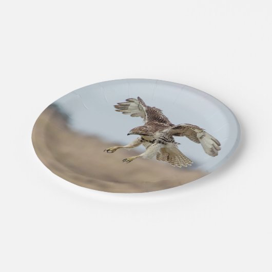 未熟な赤によって後につかれるタカの浮かぶこと ペーパープレート (アングル)