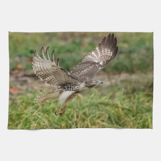 未熟な赤によって後につかれるタカ キッチンタオル (横)