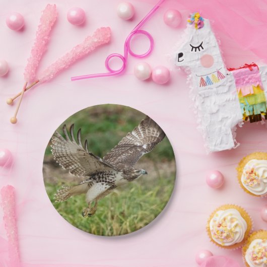 未熟な赤によって後につかれるタカ ペーパープレート (パーティー)