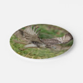 未熟な赤によって後につかれるタカ ペーパープレート (アングル)