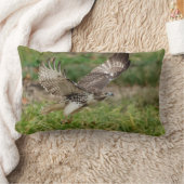 未熟な赤によって後につかれるタカ ランバークッション (ブランケット)