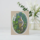 未熟な赤尾タカ調整品目 ポストカード (スタンド正面)