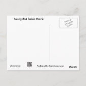 未熟な赤尾タカ調整品目 ポストカード (裏面)