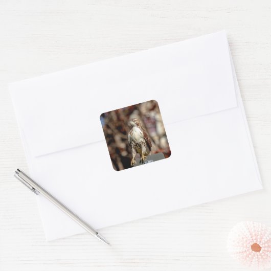 未熟な赤尾タカ スクエアシール (封筒)