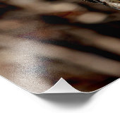 未熟な赤尾タカ フォトプリント            (角)