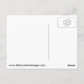 未熟な赤尾タカ ポストカード (裏面)