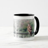 未熟な赤尾タカ マグカップ (正面右)