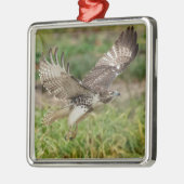 未熟な赤尾タカ メタルオーナメント (左)