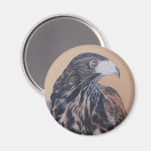 未熟ハリスホーク マグネット (正面/裏面)