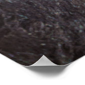 未熟霊魂タスマニア悪魔 ポスター (角)