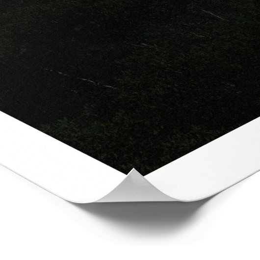 未発見（夜） ポスター (角)