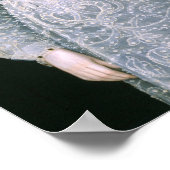 未知の女性のポートレートc.1595ファインアート ポスター (角)