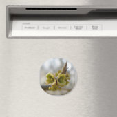 未知の木の花 – Springtime マグネット (インサイチュ (食洗機))