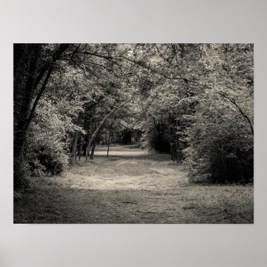 未知へのパス ポスター (正面)