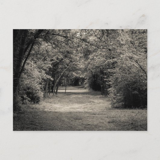 未知へのパス ポストカード (正面)