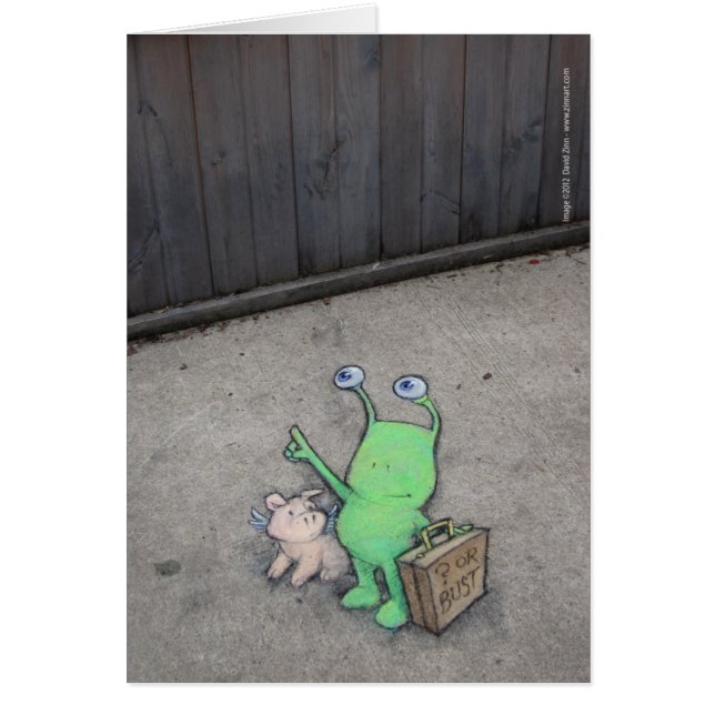 未知数かバスト (正面)