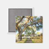 未舗装パス マグネット (正面/裏面)