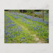 未舗装道路 ポストカード (正面)