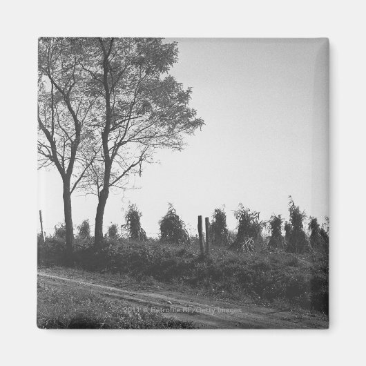 未舗装道路B&W マグネット (正面)