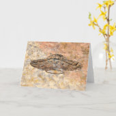 未識別オブ飛んでいるジェクト カード (黄色い花)