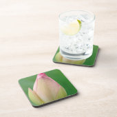 未開のユリの球根、ダーバン植物 コースター (右側)