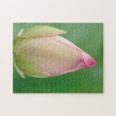 未開のユリの球根、ダーバン植物 ジグソーパズル (横)